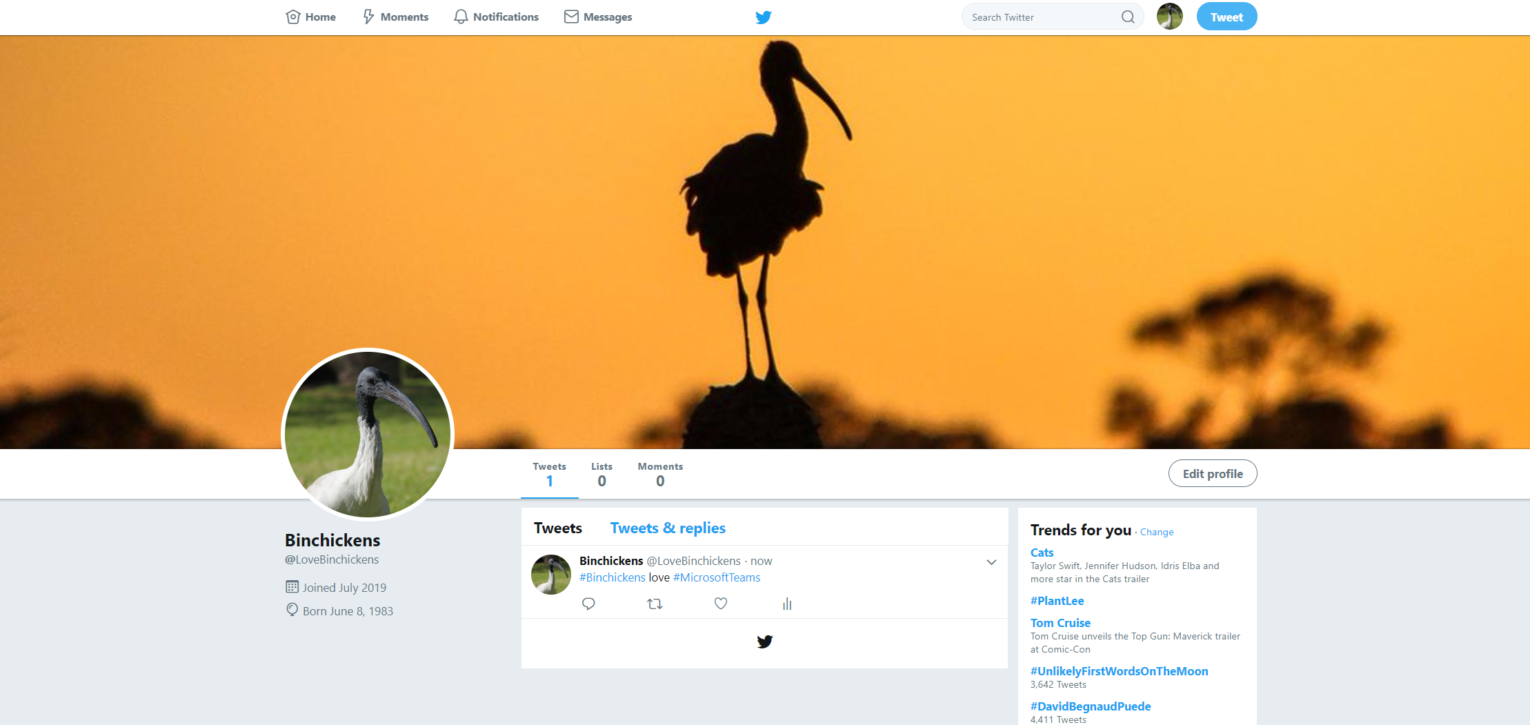 BinchickTwit.PNG